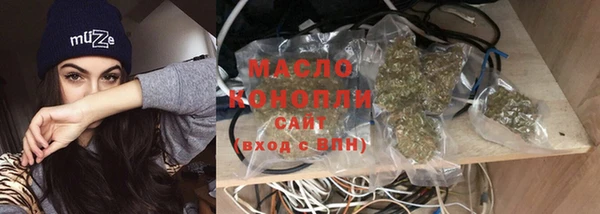 шишки Осташков