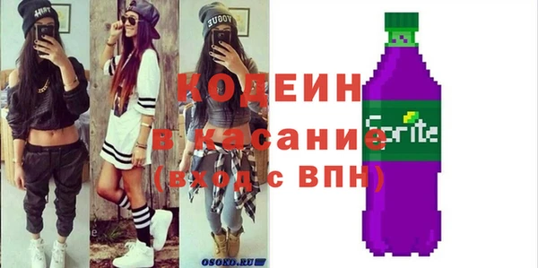 индика Осинники