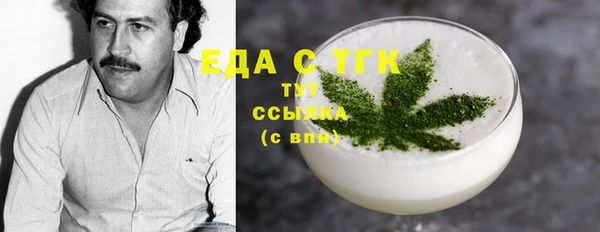индика Осинники