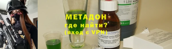 индика Осинники