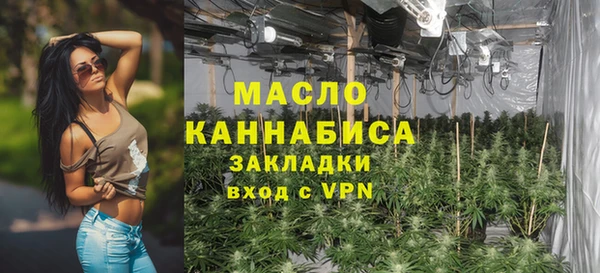индика Осинники