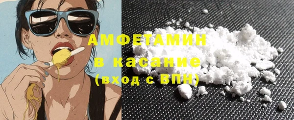 индика Осинники