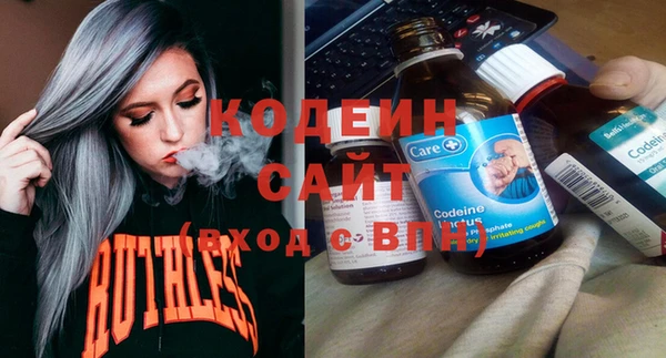 индика Осинники