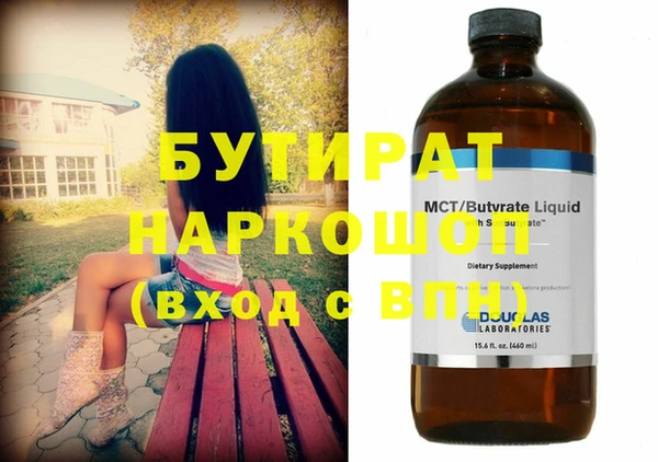 индика Осинники