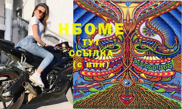 индика Осинники