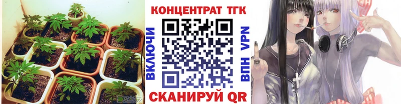ТГК жижа  Куртамыш 