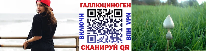 Псилоцибиновые грибы ЛСД  даркнет состав  Куртамыш 