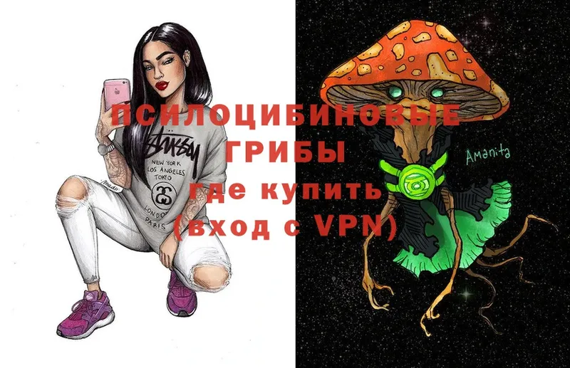 Галлюциногенные грибы Psilocybe  Куртамыш 