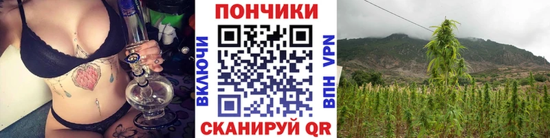 Канабис конопля  Куртамыш 